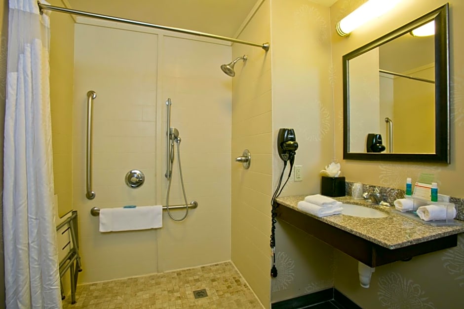 Holiday Inn Express Hotel And Suites Brookhaven By IHG