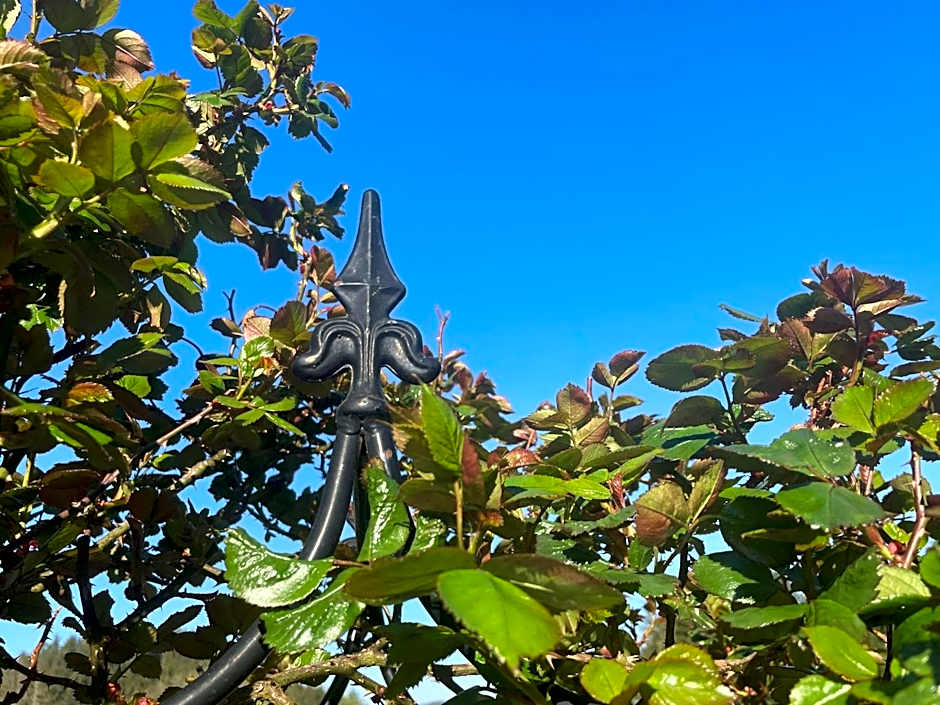 Schloss Moosburg Gästehaus