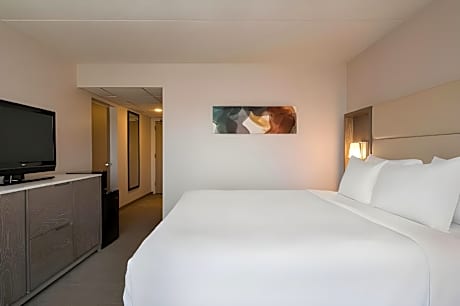 1 King Bed Executive Level Non-Smoking With Double Sofa Bed