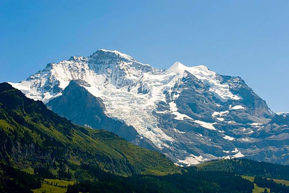 Historic Hotel Falken