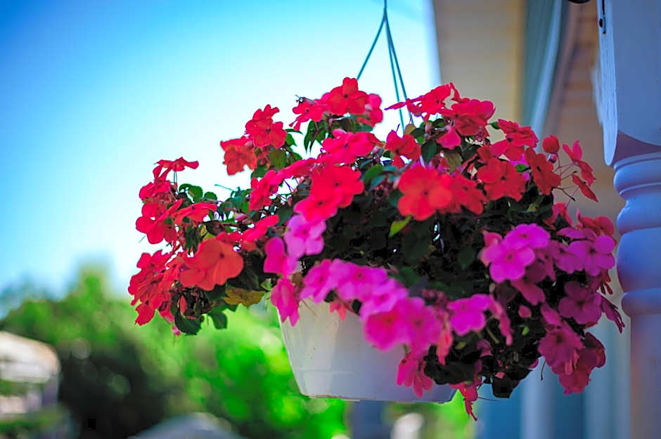 Lee's Ocean Peek B & B