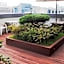 Good Morning Residence Hotel Hue
