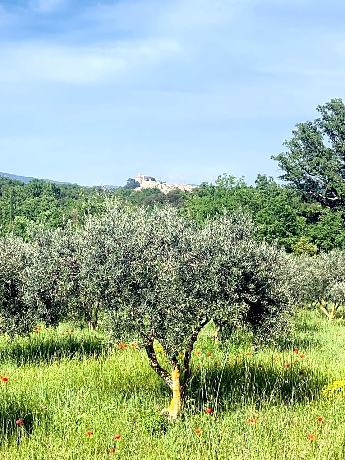 Domaine La Ferme HI bride