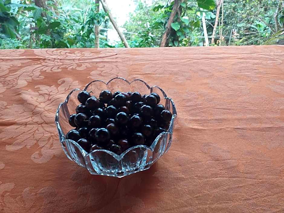 Pousada Mar de Sonhos