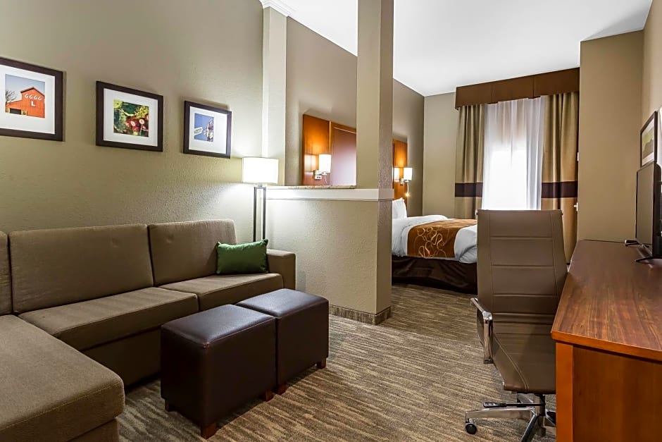 Comfort Suites University