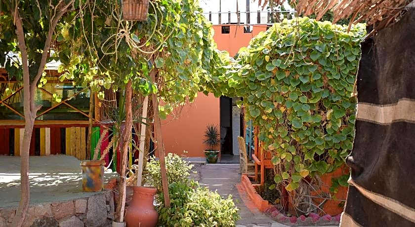Bedouin Garden Village