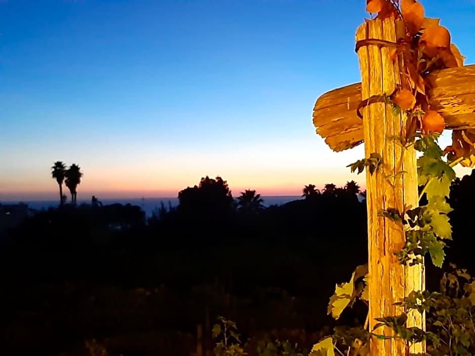 Il Vitigno di Dioniso