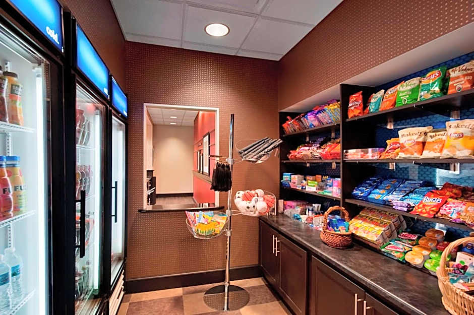 Hampton Inn By Hilton And Suites Detroit/Airport-Romulus