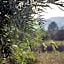 Rondaia, a Winery & Fincahotel-Agroturismo in Tramuntana