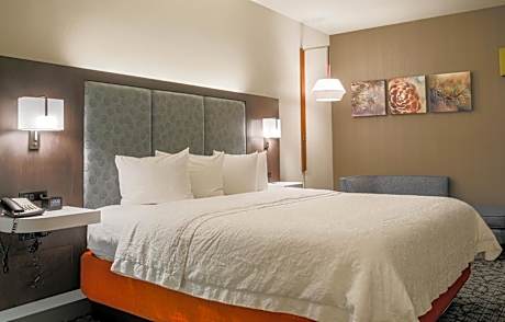 1 King Bed Nonsmoking