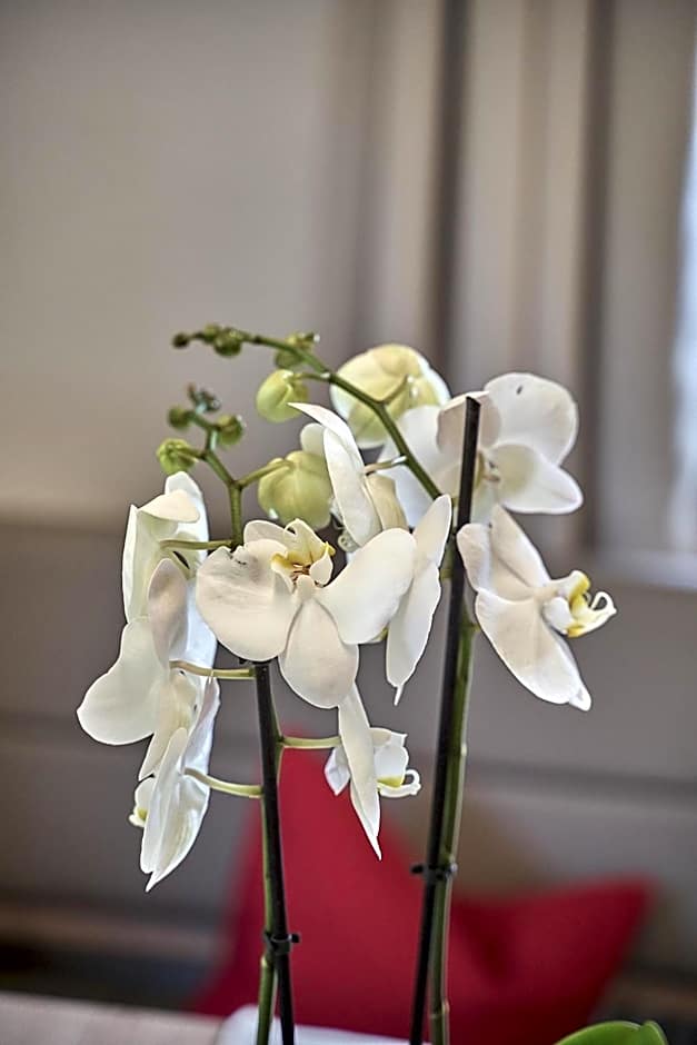 Hotel Garni Schönblick