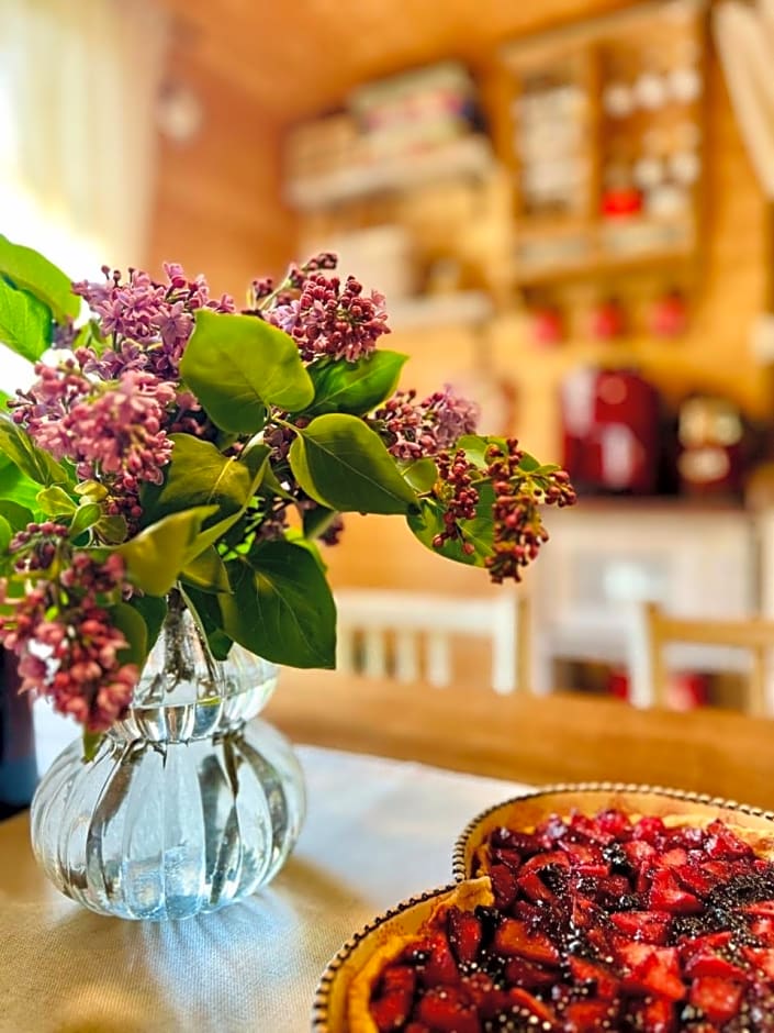 SOVIA WELLNESS CHATA s jacuzzi kaďou a saunou, Čingov