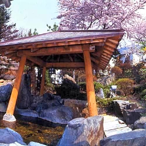 Inagaki Onsen Hotel Kagetsutei - Vacation STAY 85210