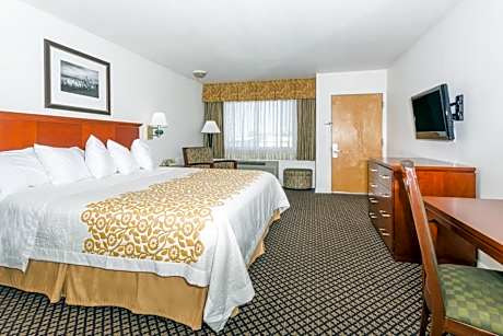 1 King Bed Non-Smoking