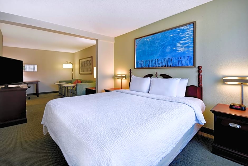 SpringHill Suites by Marriott Atlanta Buford/Mall of Georgia