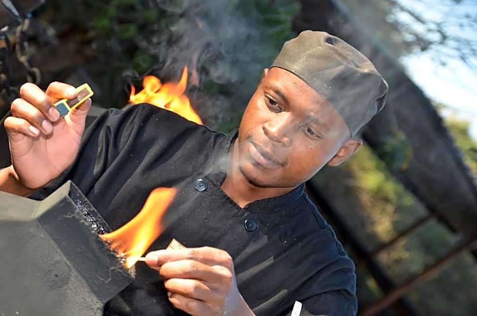 Moholoholo Forest Camp