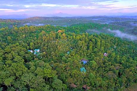 The Woods Resorts Wayanad