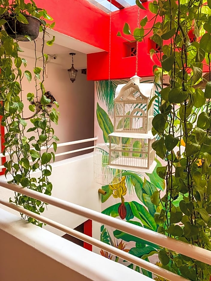 La Iguana Vallarta LGBT Experience - Romantic Zone