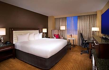King Room with Roll-In Shower - Mobility Access