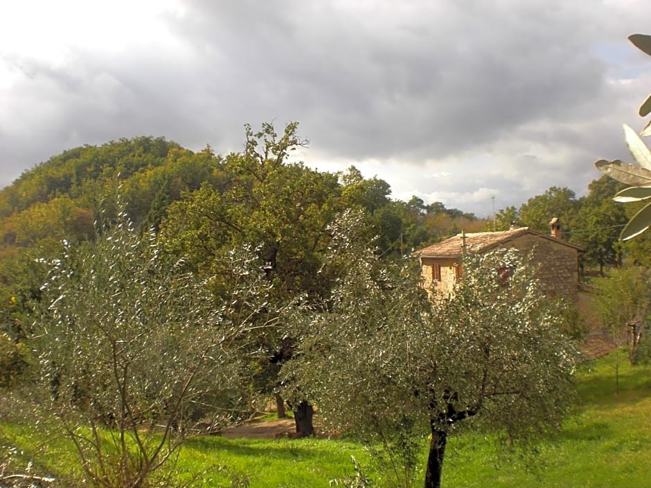 B&B Il Sentiero nel Bosco