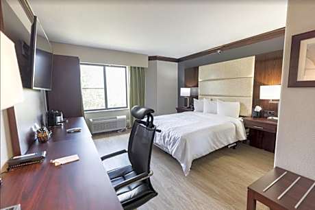 Queen Room - Accessible/Non Smoking