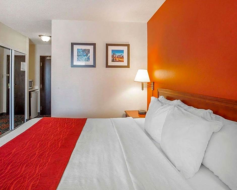 Comfort Inn & Suites University