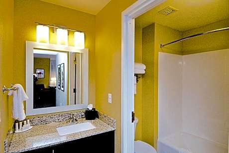 Studio, 1 King Bed with Sofa bed (1 King Bed and 1 Double Sofa Bed)