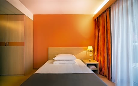 STANDARD single room with park view