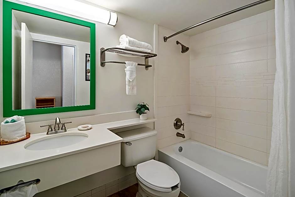 Palm Tree Club Miami