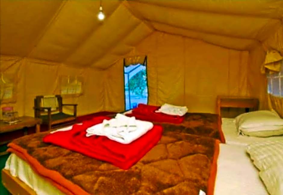 Photo 1 of 7 of Deluxe Tent