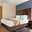 Quality Inn & Suites New Prague