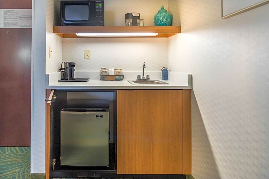 SpringHill Suites by Marriott Chicago Elmhurst/Oakbrook Area