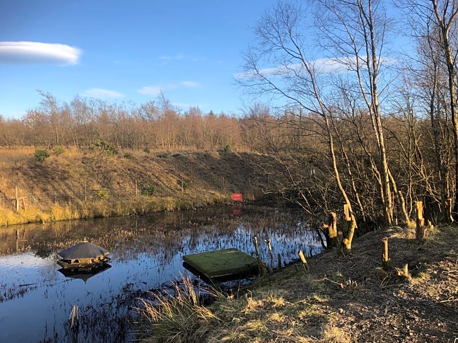 Fairview Bed and Breakfast