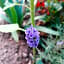 A1 Girasole B&B