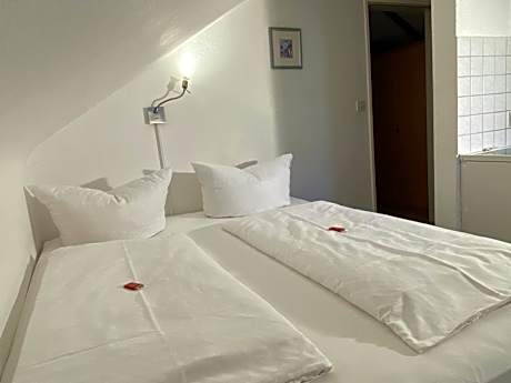 Apartment Attic (4 Adults)