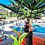 Hotel Rudy