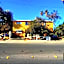 The Yellow Penthouse