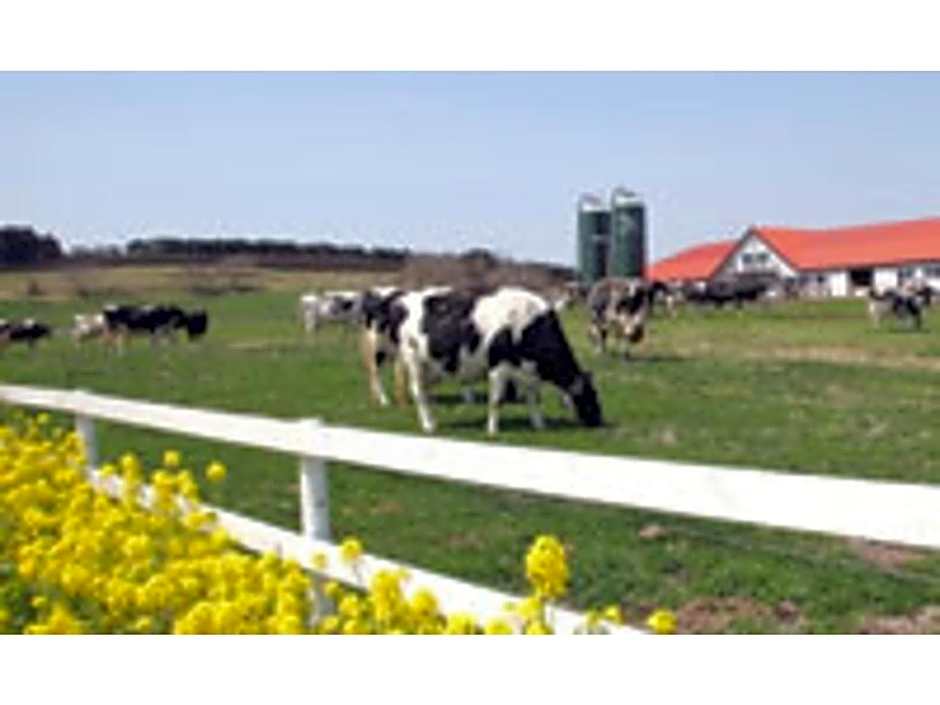 Ichihara Marine Hotel - Vacation STAY 01372v