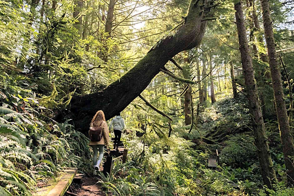 Salishan Coastal Lodge