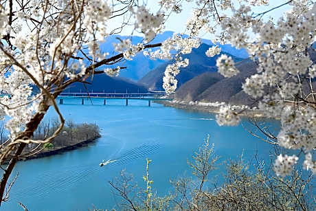 New Healing Spa Pension