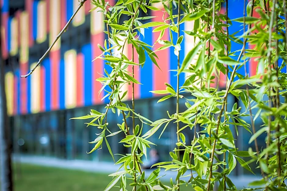 Centre Esplai Albergue