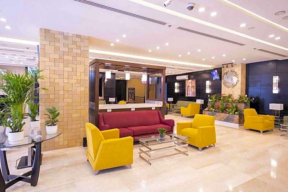 Olive Tree Amman