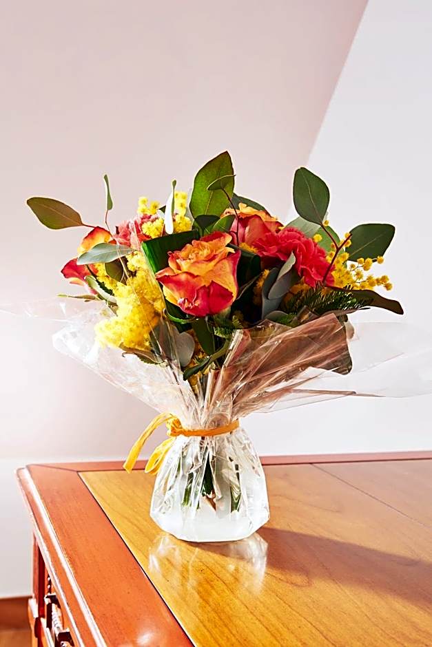 Hotel Spa Les Saules