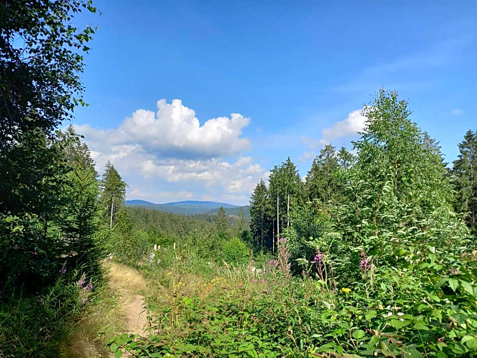 Mein Vierjahreszeiten Hotel Garni Superior
