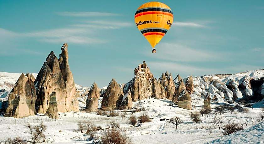 Antique Terrace Suites