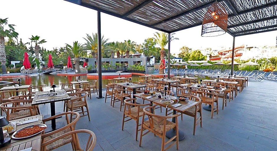 Very Chic Adult Only 18 