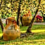 Podere Vigliano