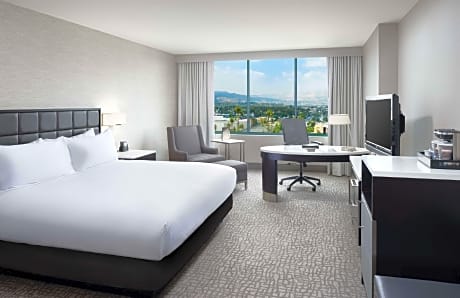 1 King Bed 2 Room Premium Suite W/ City View
