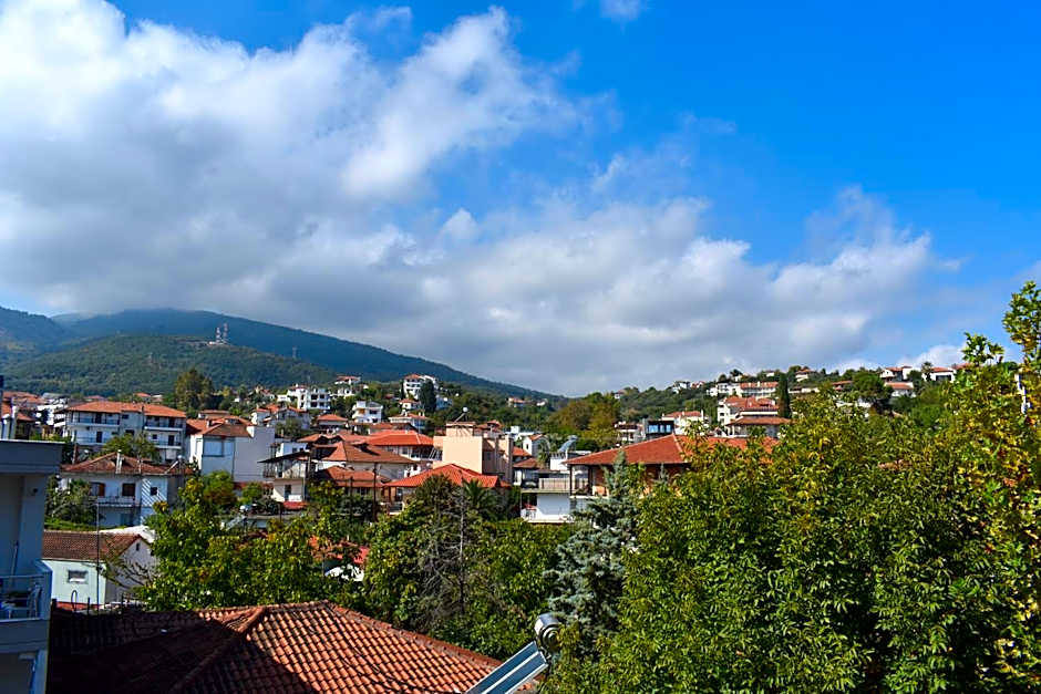 Galanis Studios and Apartments