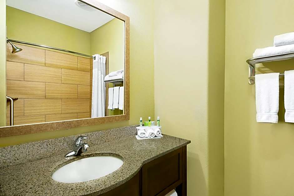 Holiday Inn Express Hotel and Suites Monahans I-20 By IHG